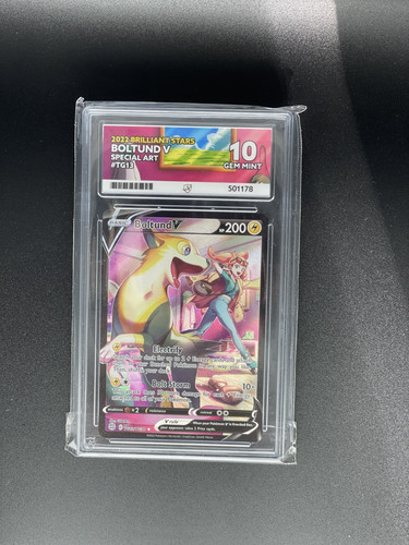 Pokémon tcg boltund - pokémon, v
