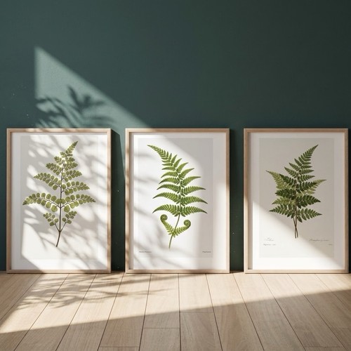 Set botanical fern art - 3,